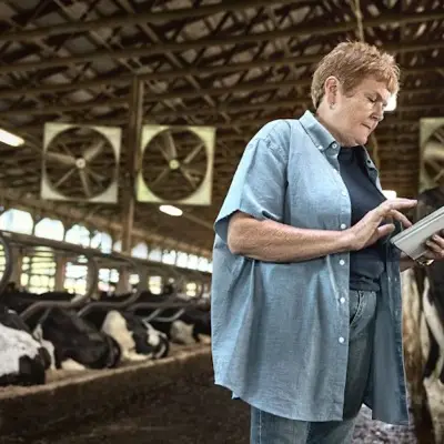 An advisor checking a tablet in a dairy barn