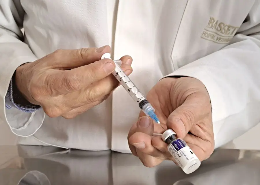 A veterinarian drawing a vaccine dose into a syringe